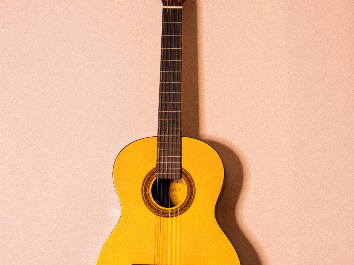 Guitar