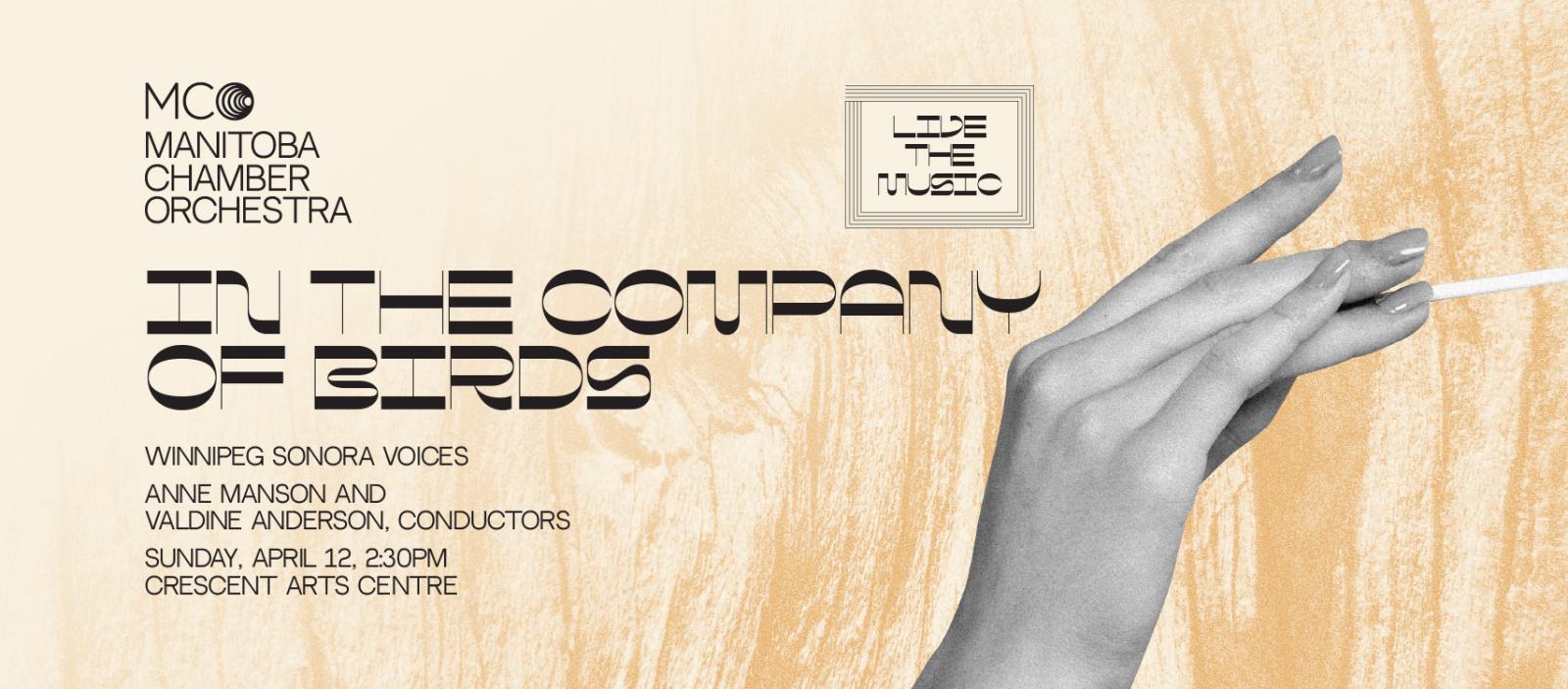 In the Company of Birds graphic